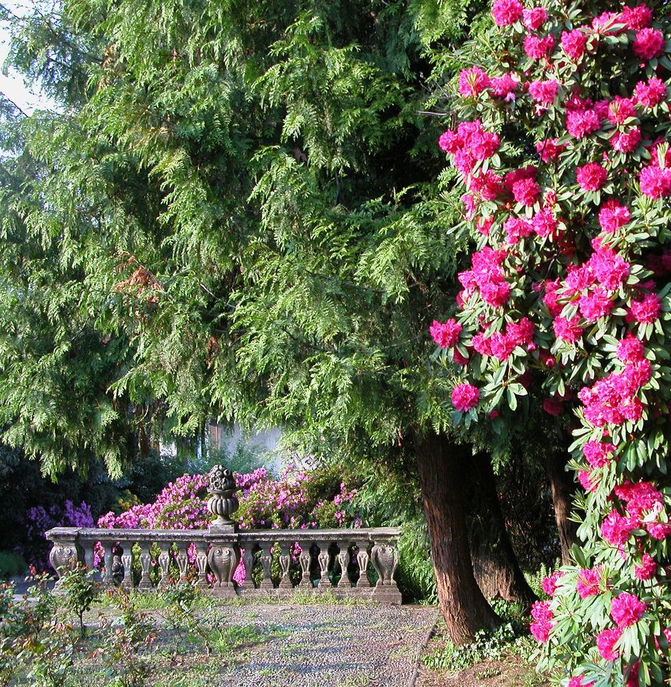 Du Parc 호텔 Lake Maggiore 외부 사진